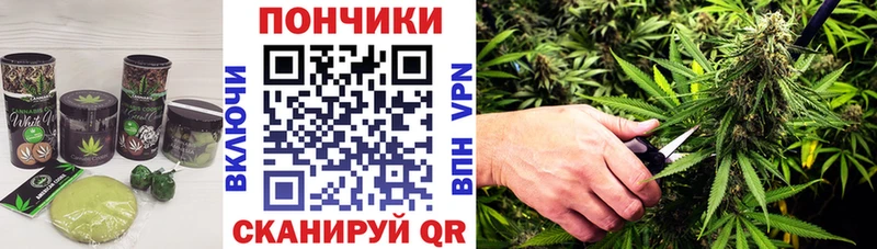 Canna-Cookies конопля  Грозный 