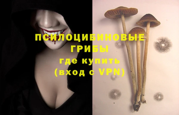 ГАЛЛЮЦИНОГЕННЫЕ ГРИБЫ Горно-Алтайск