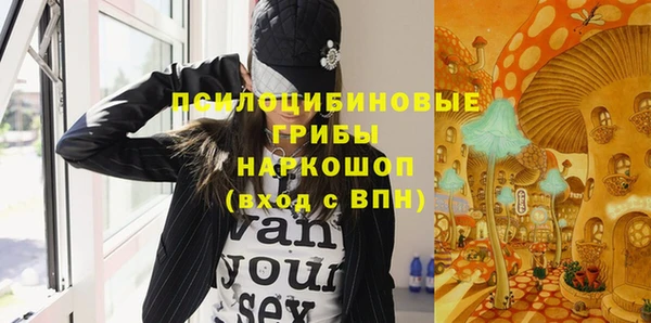 ГАЛЛЮЦИНОГЕННЫЕ ГРИБЫ Горно-Алтайск