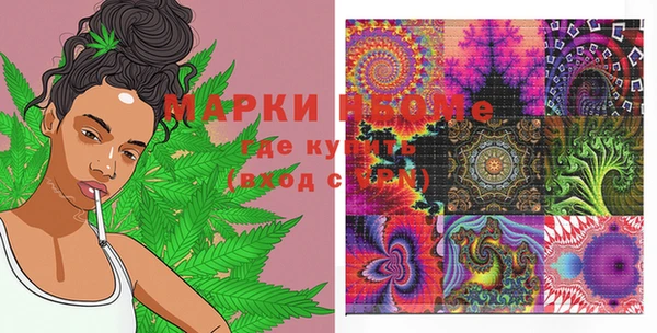 ГАЛЛЮЦИНОГЕННЫЕ ГРИБЫ Горно-Алтайск