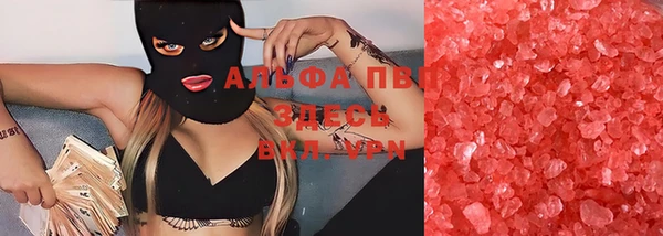 ГАЛЛЮЦИНОГЕННЫЕ ГРИБЫ Горно-Алтайск
