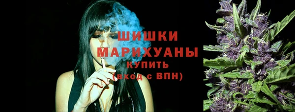 ГАЛЛЮЦИНОГЕННЫЕ ГРИБЫ Горно-Алтайск