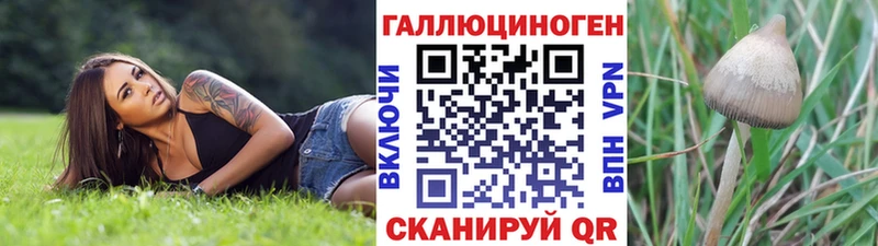 блэк спрут ONION  Грозный  Псилоцибиновые грибы мухоморы 